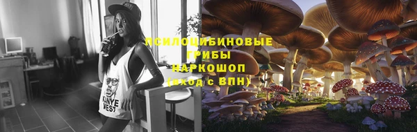первитин Пестово