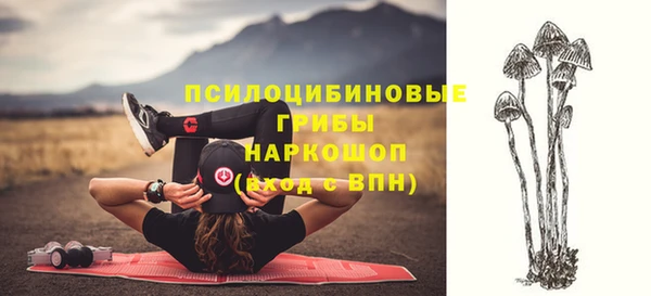 mdma Абаза