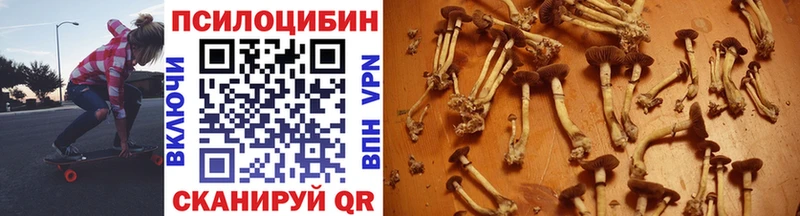 Галлюциногенные грибы Cubensis  omg зеркало  Рассказово 